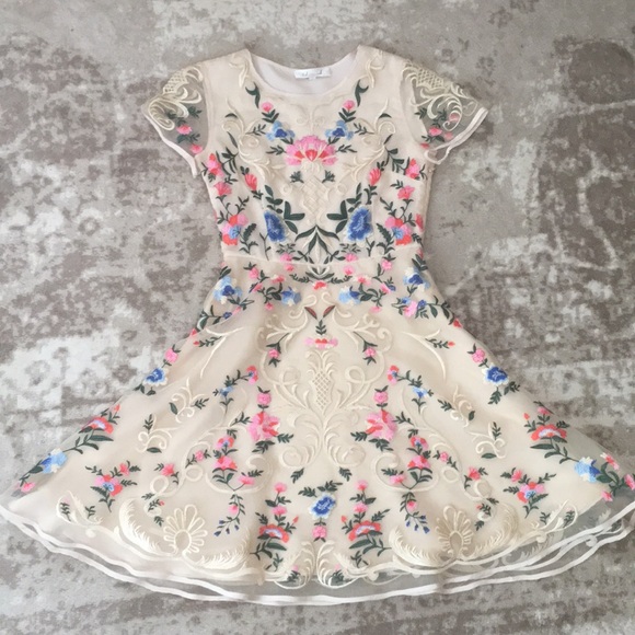 Beautiful Embroidered Dress - Picture 1 of 6